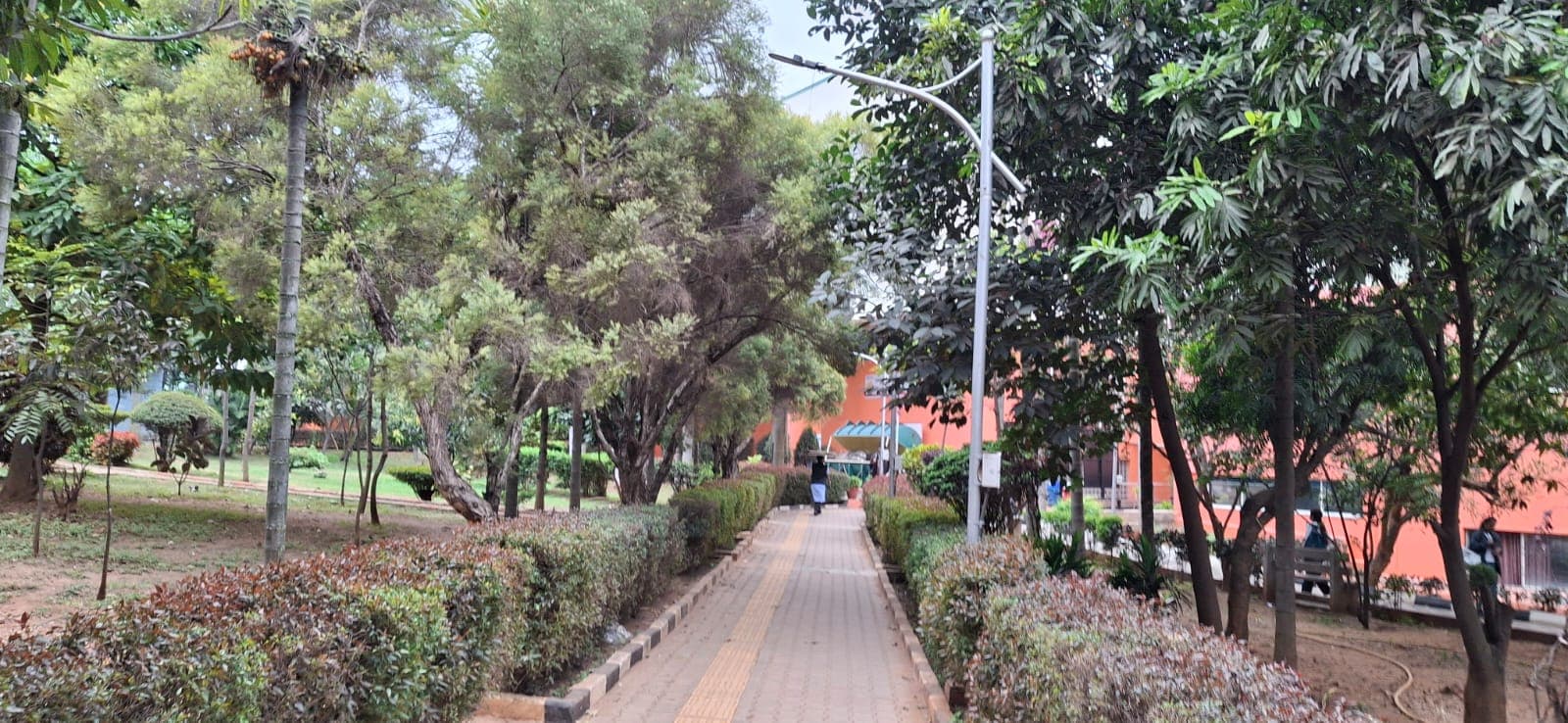 MS Ramaiah University Campus photo 4